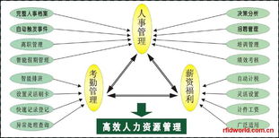 RFID设备全解析 电子标签、读写器及性能参数与市场报价