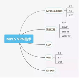 网络工程师技能图谱 从基础架构到前沿技术的全面掌握